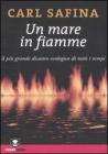 Un mare in fiamme. Il pi� grande disastro ecologico di tutti i tempi