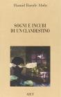 Sogni ed incubi di un clandestino