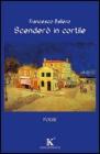 Scender� in cortile