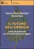 Il futuro dell'energia. Guida alle fonti pulite per chi ha poco tempo per leggere