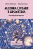 Algebra lineare e geometria. Quiz ed esercizi commentati e risolti