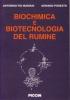 Biochimica e biotecnologia del rumine