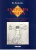 Anatomia. Anatomia umana