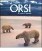 Orsi di tutto il mondo