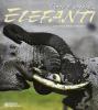 Elefanti