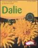 Dalie. Una incredibile variet� di forme e colori