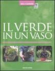Il verde in un vaso Il verde in un vaso