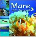 Mare Mare