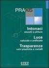 Praxis: Intonaci, stucchi e pitture-Luce naturale e artificiale-Trasparenze, vetri plastiche e metalli. Con CD-ROM