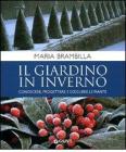 Il giardino in inverno. Conoscere, progettare e scegliere le piante