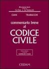 Commentario breve al Codice civile. Con CD-ROM