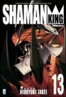 Shaman King. Perfect edition vol.13