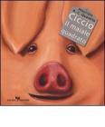 Ciccio il maiale quadrato