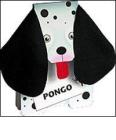 Pongo