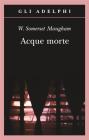 Acque morte. E-book