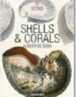 Shells & Corals. Ediz. inglese, francese e tedesca