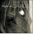 Voglio un cavallo