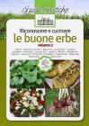 Riconoscere e cucinare le buone erbe. Alliaria. Asparago selvatico. Balsamita. Caccialepre. Crispigni. Favagello. Galinsoga. Lampascioni. Luppolo. Mastrici... vol.2