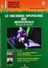 Le orchidee spontanee del Montovolo