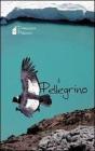 Il pellegrino
