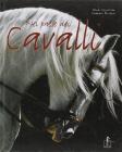 Nel paese dei cavalli