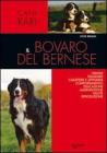 Il bovaro del bernese Il bovaro del bernese