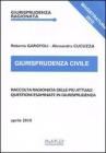 Giurisprudenza civile