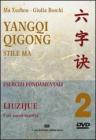 Yangqi Qigong. DVD vol.2