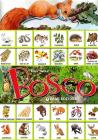 Bosco. Con sticker