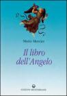 Il libro dell'angelo