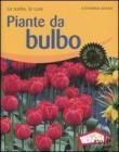 Piante da bulbo. La scelta, le cure Piante da bulbo. La scelta, le cure