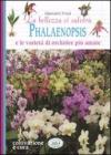 La bellezza ci salverą. Phalaenopsis e le varietą di orchidee pił amate La bellezza ci salverą. Phalaenopsis e le varietą di orchidee pił amate