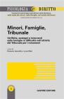 Minori, famiglie, tribunale. Verifiche, sostegni e interventi sulle famiglie in difficolt� nell'attivit� del tribunale per i minorenni