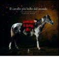 Il cavallo pi� bello del mondo