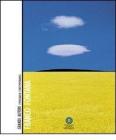 Franco Fontana. Grandi autori. Fotografia contemporanea