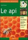 Api Api