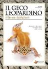 Il geco Leopardino. Il genere Eublepharis Il geco Leopardino. Il genere Eublepharis