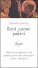 Santi patroni padani. Dieci vite di patroni di citt� padane s'intrecciano con le storie di dieci immigrati