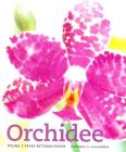 Orchidee Orchidee