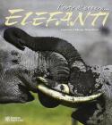 Elefanti