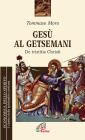 Ges� al Getsemani. De Tristitia Christi