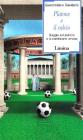 Platone e il calcio. Saggio sul pallone e la condizione umana