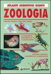 Clicca per maggiori informazioni
