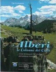 prezzi Alberi le colonne del cielo Come riconoscere 100 1 alberi e arbusti delle montagne italiane
