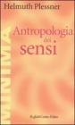 Antropologia dei sensi