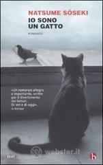 Io sono un gatto