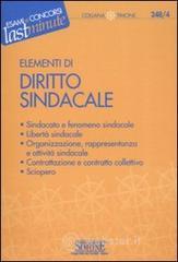 Elementi di diritto sindacale. E-book