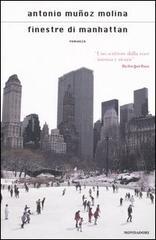 Finestre di Manhattan