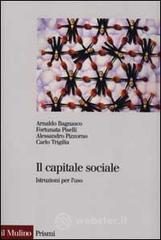 Il capitale sociale. Istruzione per l'uso