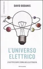 L' universo elettrico. L'elettrizzante storia dell'elettricit�